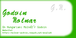 godvin molnar business card